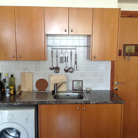 דירה Stasinou Studio לרנקה